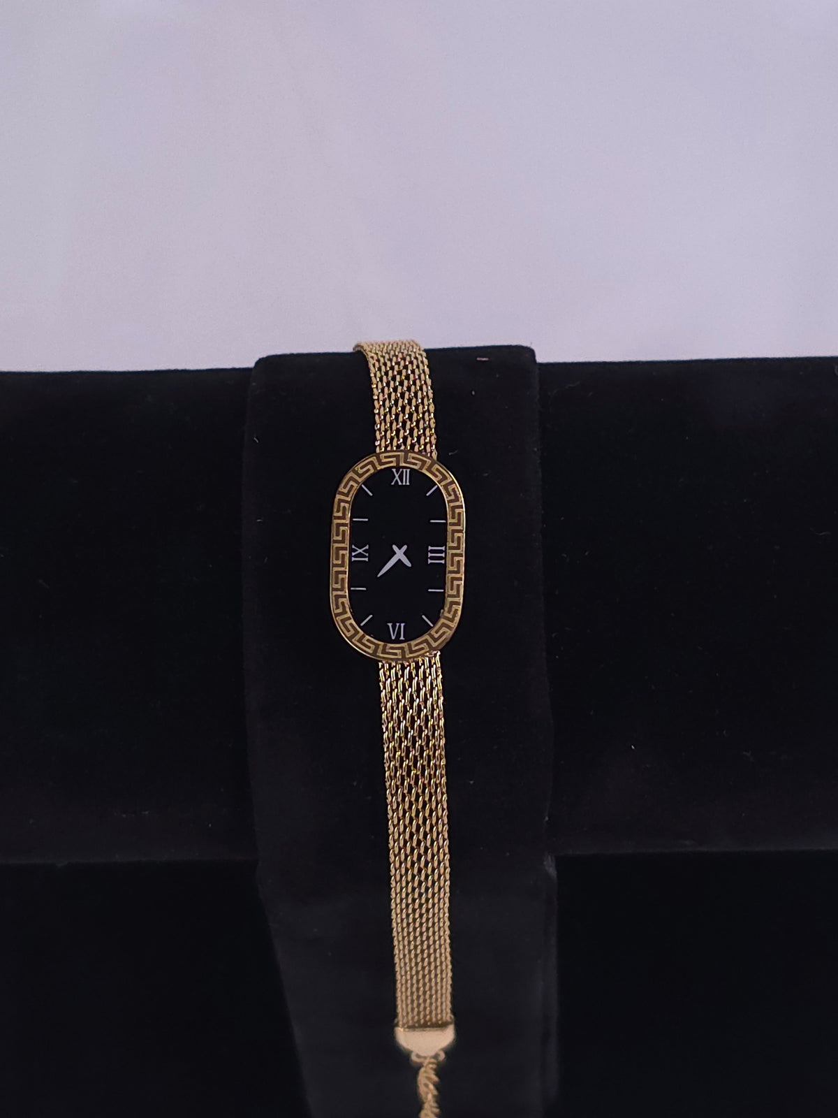 Oval Mesh Watch Bracelet