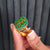 Bloom Aura Ring