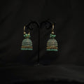 Multicolor Jhumki Earrings